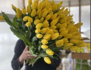 Самозанятый из Уфы успешно развивает цветочный бизнес благодаря господдержке